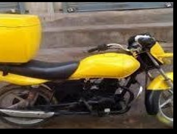 Generator & Other Immovable Assets